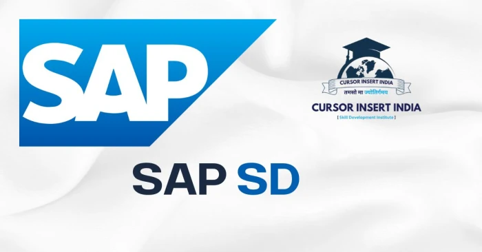 SAP SD (Sales and Distribution)