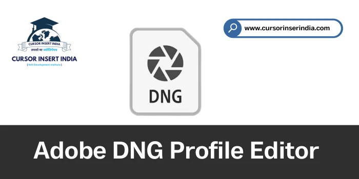 Adobe DNG Profile Editor