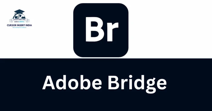 Adobe Bridge