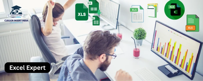 Excel Expert