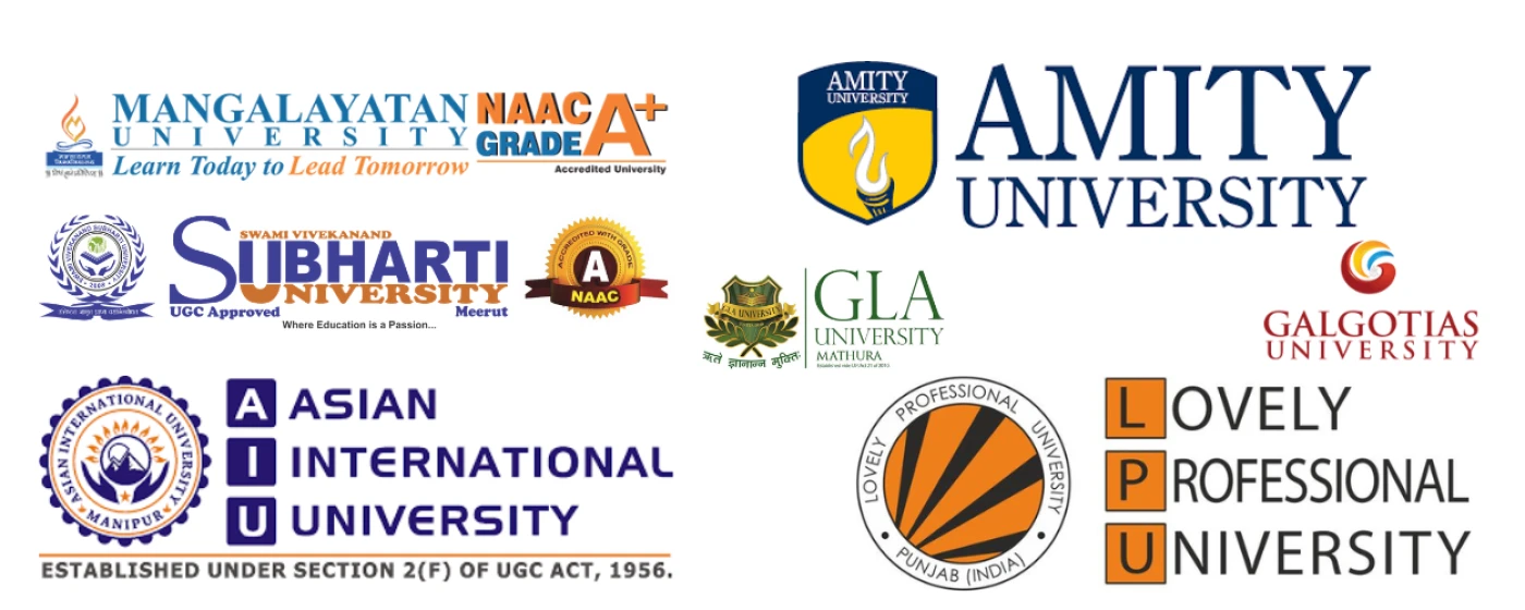 Slider Cursor Insert India