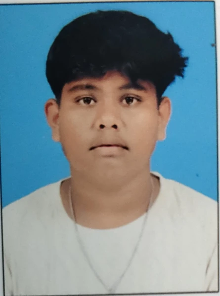 SIPUN BISOYI - Cursor Insert India learner